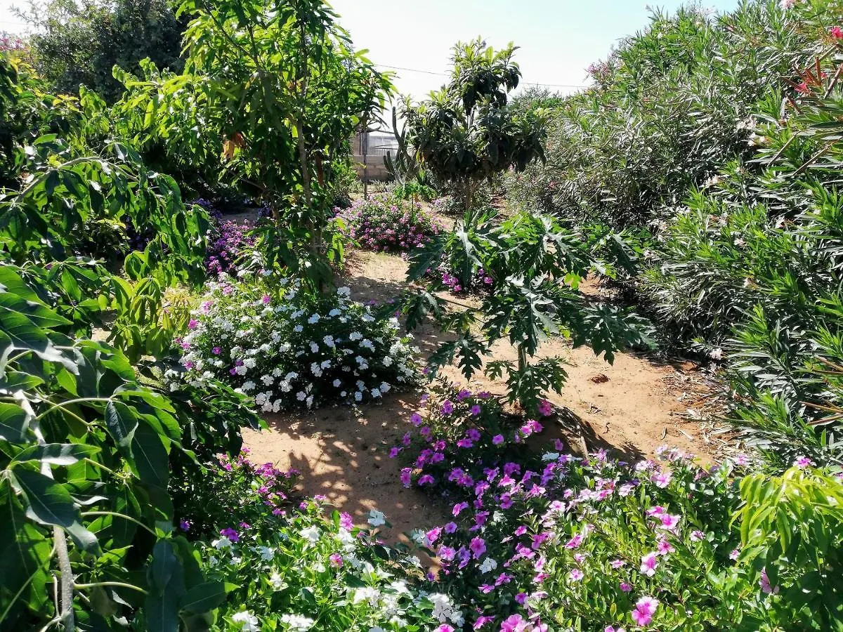 Villa Con Bella Vista Mare Scoglitti